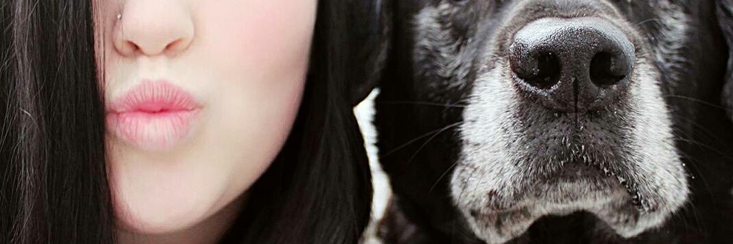 Shantoomoody's profile banner image