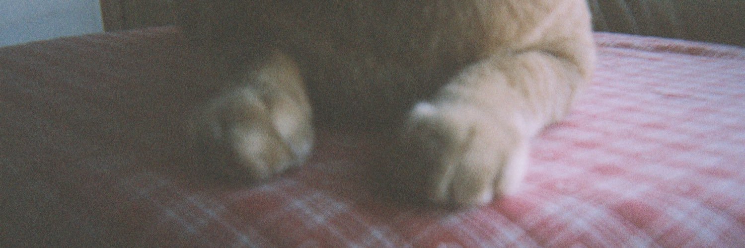 r__6mm's profile banner image