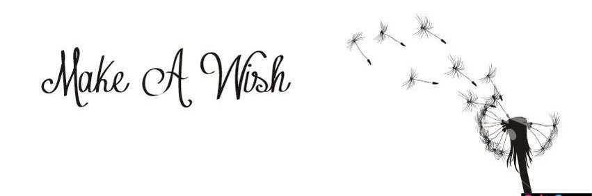 VictoriaHoeltke's profile banner image