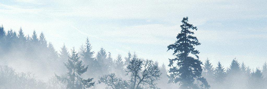 SofiPepel's profile banner image