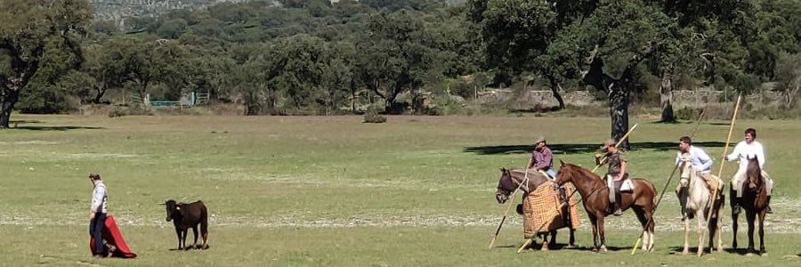 ganaderiagv's profile banner image