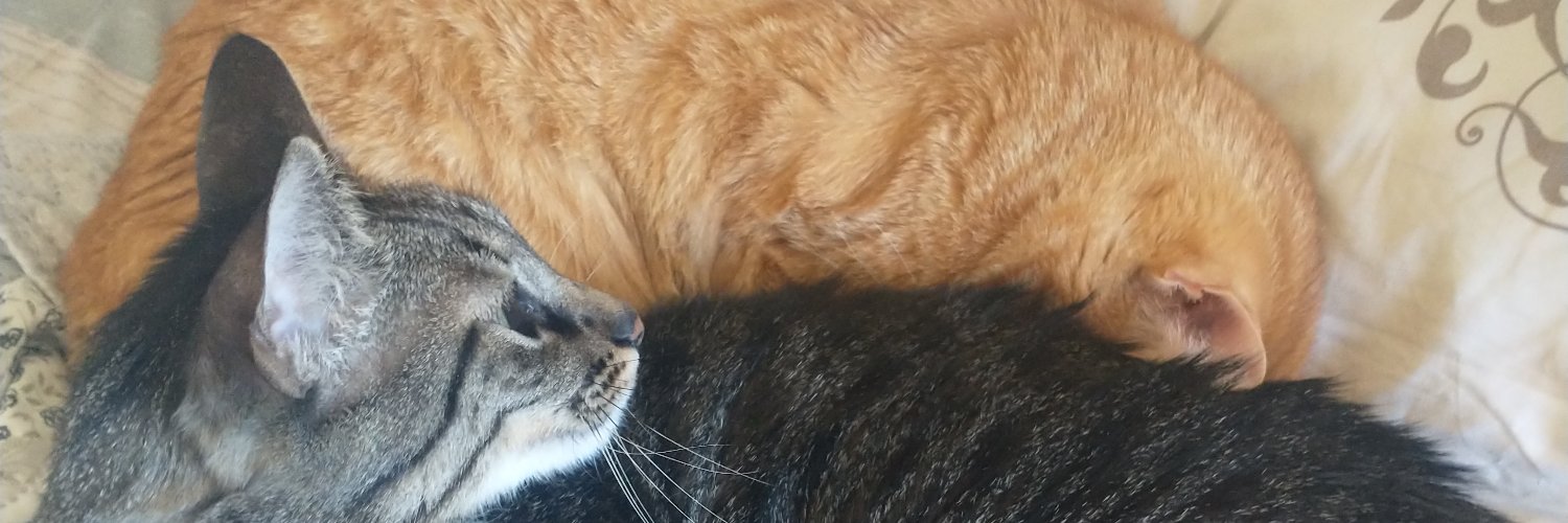 xuliaperdida's profile banner image