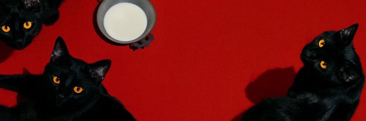 elfbienne's profile banner image