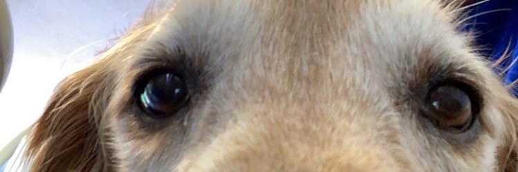joshmunley22's profile banner image