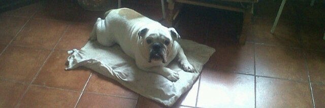 Mario Valero Martín banner