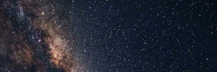 sproutseu's profile banner image