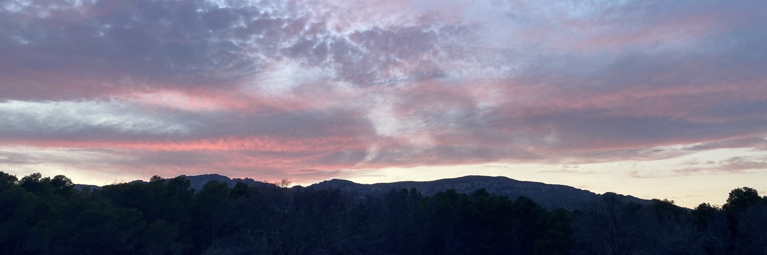 Chloé’s version 🦋 banner