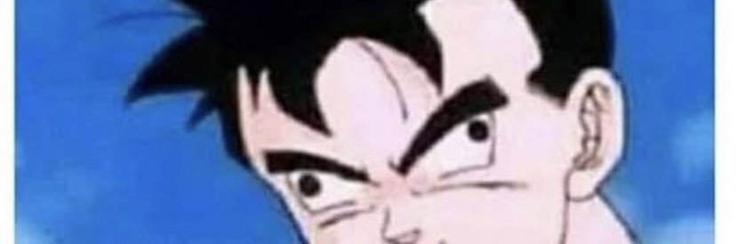 lamaspeluxa's profile banner image