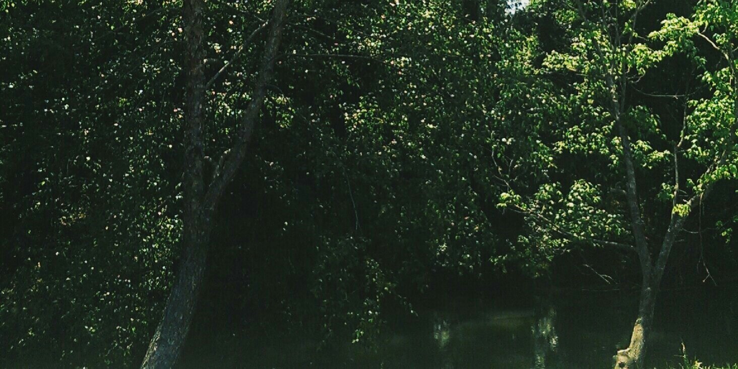 BenSpag's profile banner image