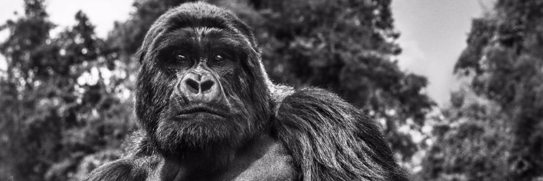RichardHrb's profile banner image