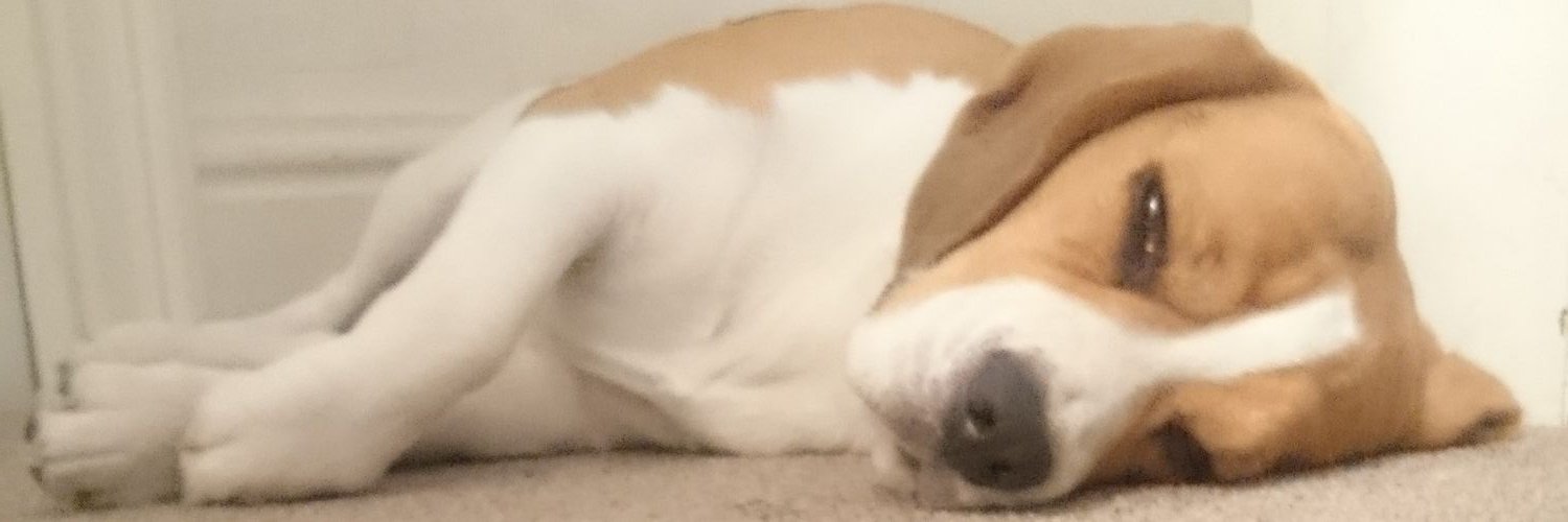 EggFriedRice4's profile banner image