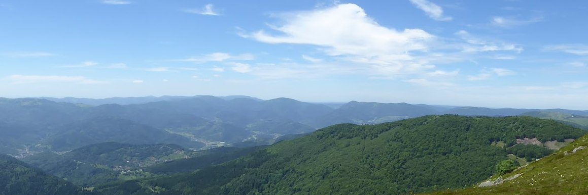 Andreas Rinner banner