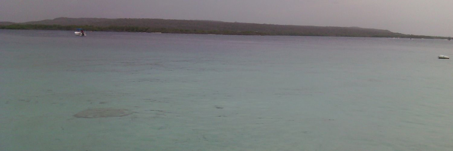 JAVC04's profile banner image