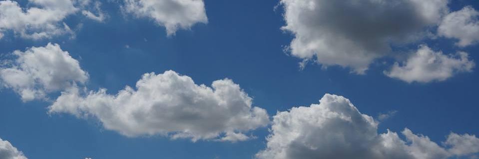 Chiara Pizzimenti banner
