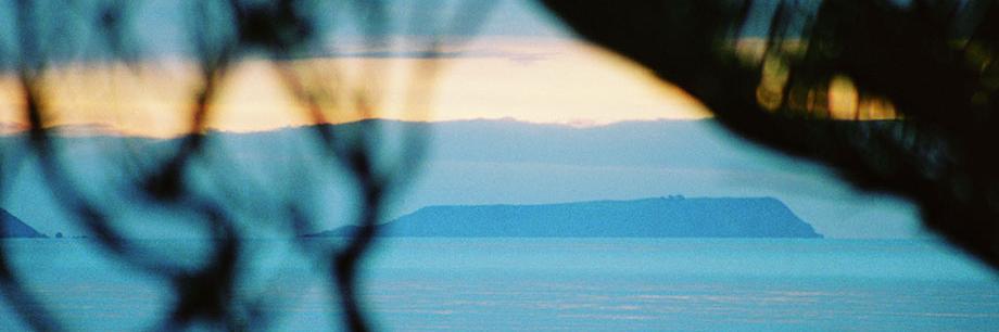 NZEDGE's profile banner image