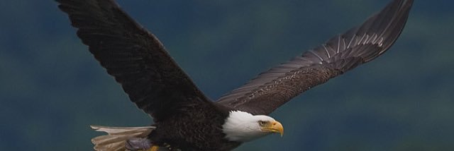 MBilalY's profile banner image