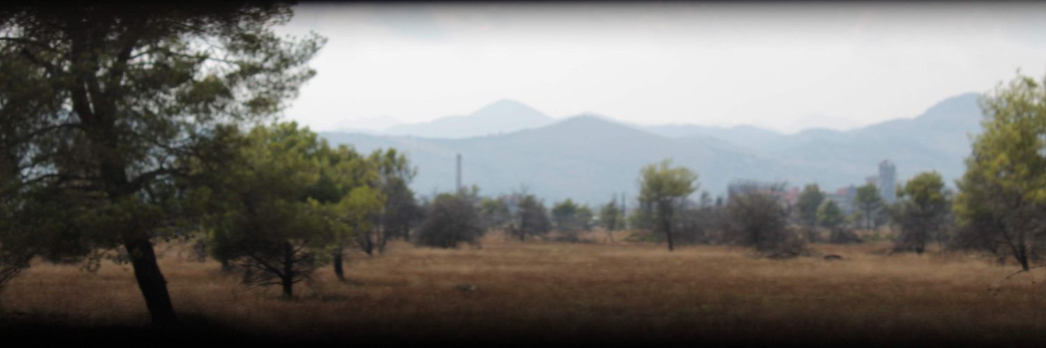 belyash98's profile banner image