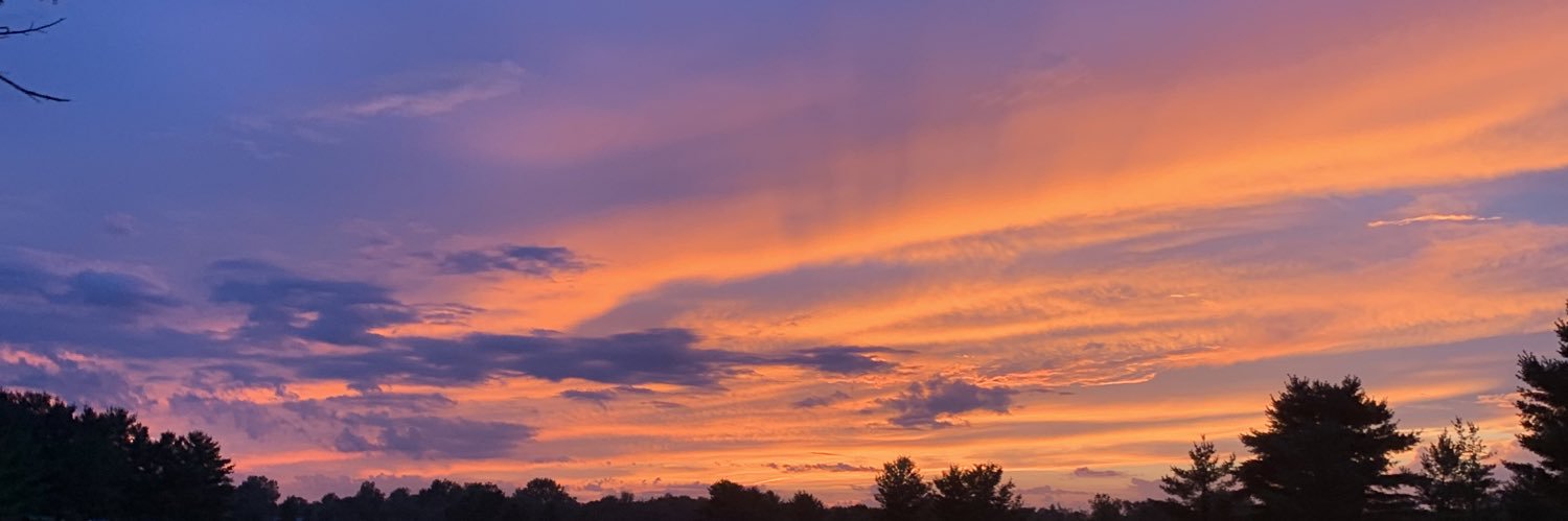 Marissa Jenike banner