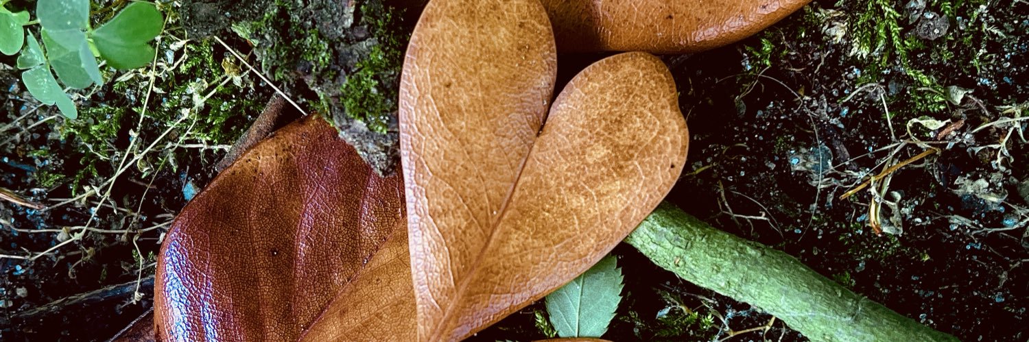 CandaceElise1's profile banner image