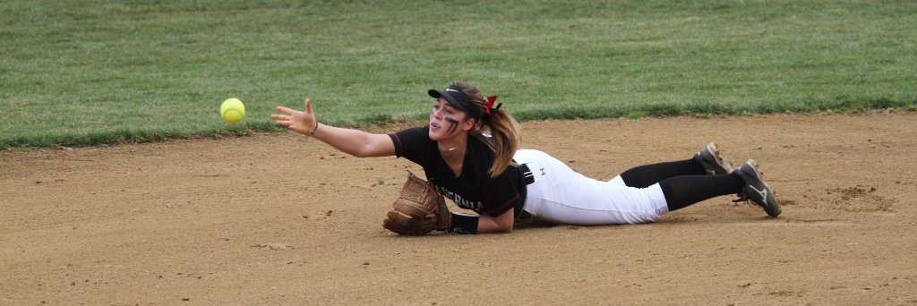 Alvernia Softball banner