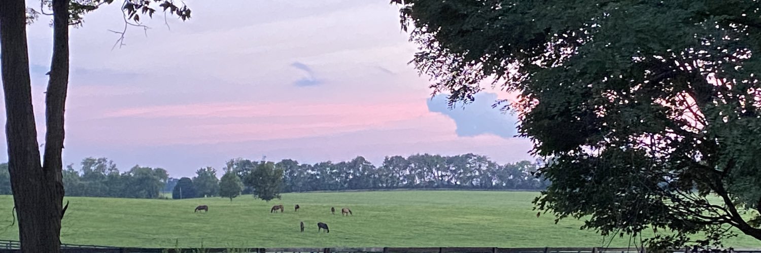 13thoroughbreds's profile banner image
