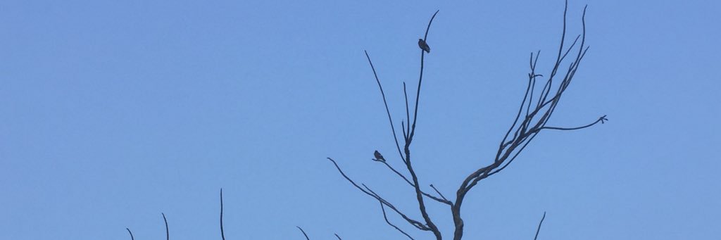 Return_001's profile banner image