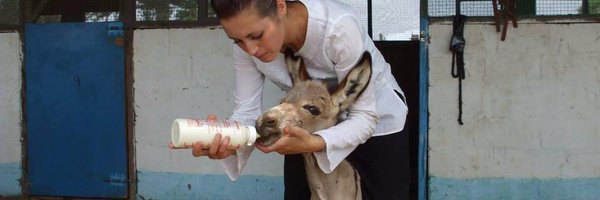 GambiaHDT Profile Banner