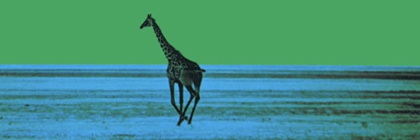 AJLeger3's profile banner image