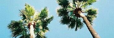 MariaJessica888's profile banner image