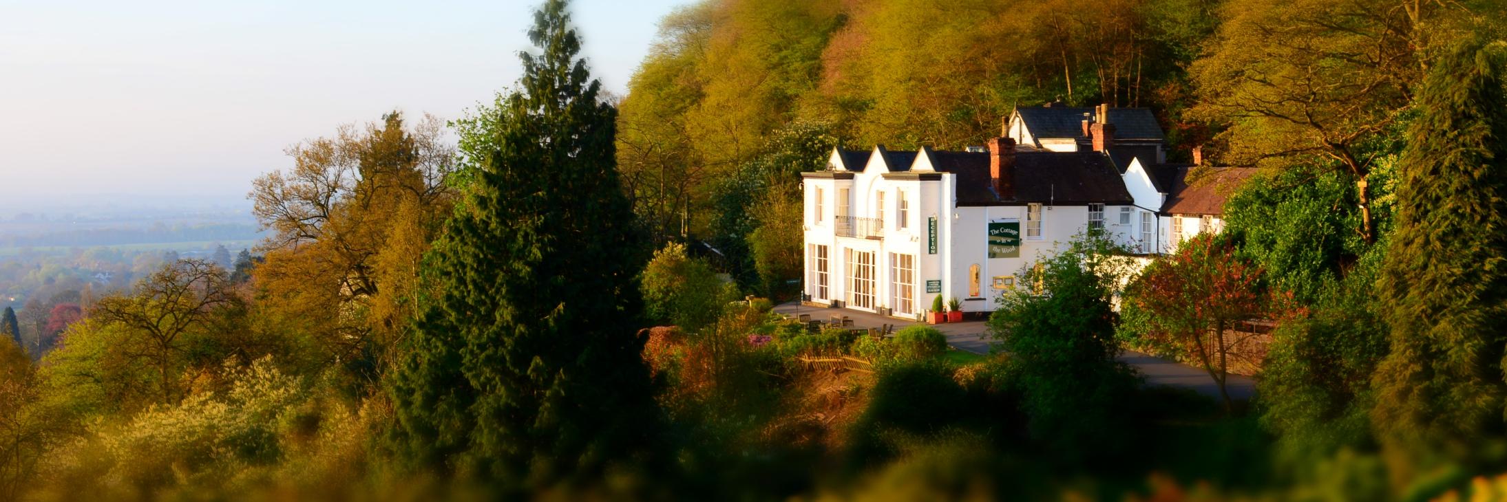 CottageinthWood's profile banner image