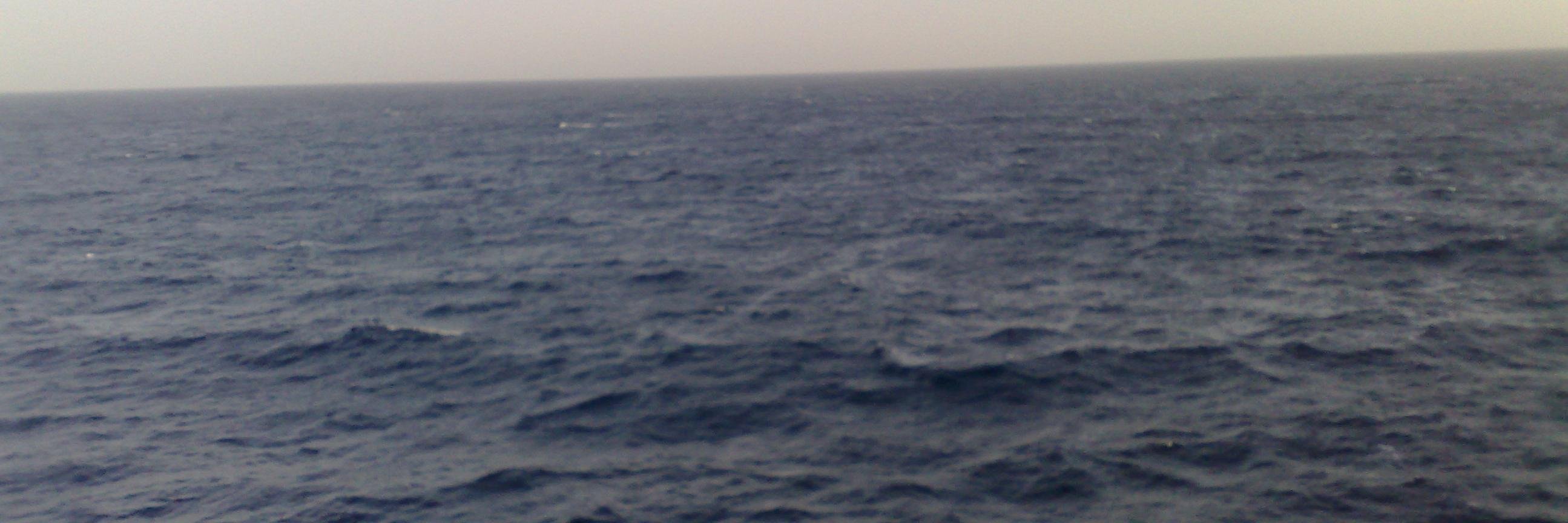 fatimarguez77's profile banner image
