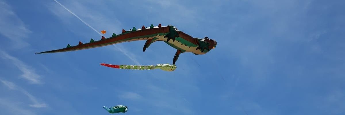 Noémie Colomb banner