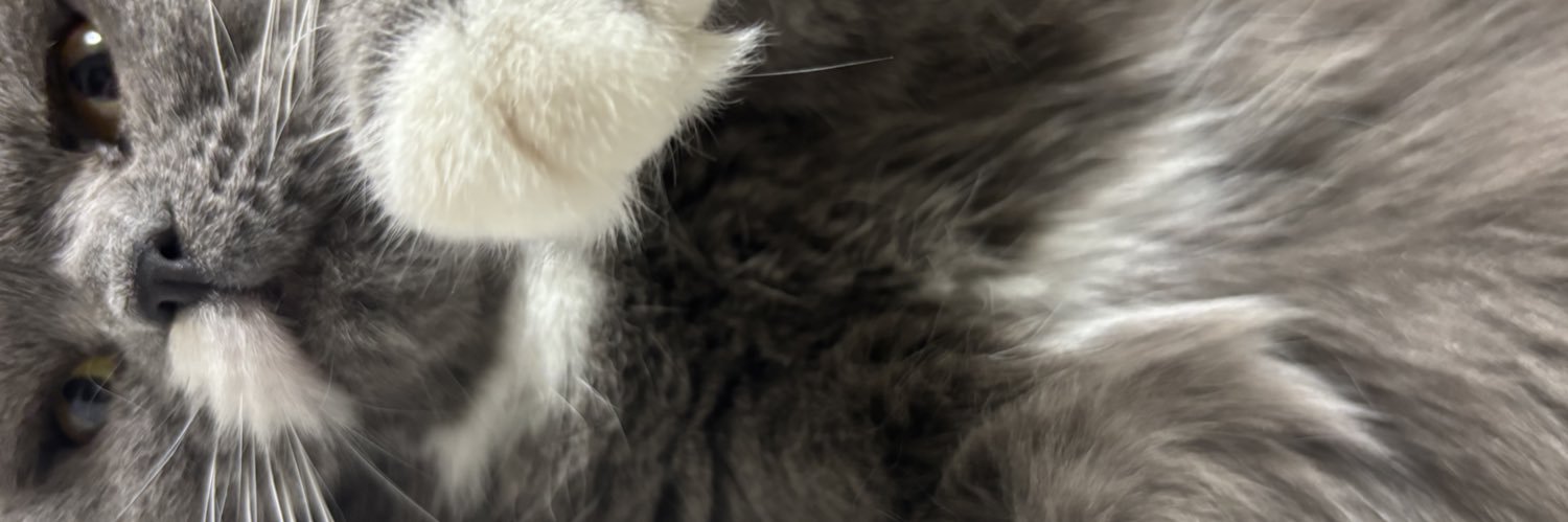 ハム太郎とこやぎの子分◆BHとちょっとらぶぴ banner