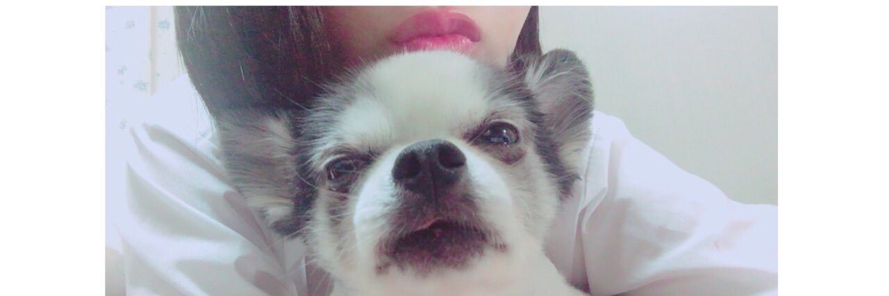 lovecappy's profile banner image
