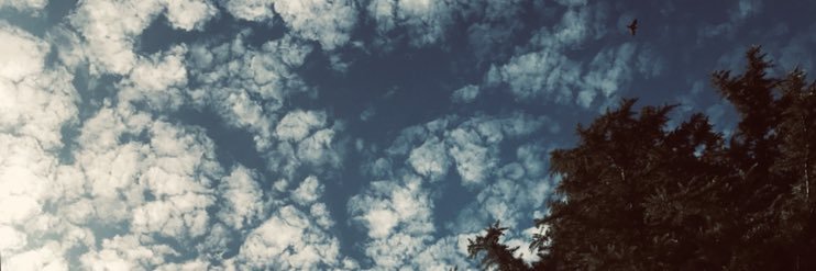 lautifessia's profile banner image