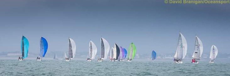 Michelle Fitzgerald banner