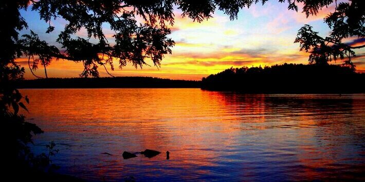 walt plude Psychologist Emeritus banner