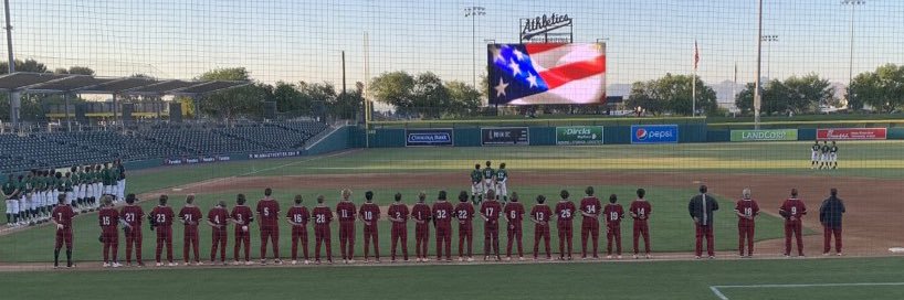 Red Mtn. Baseball™'s banner