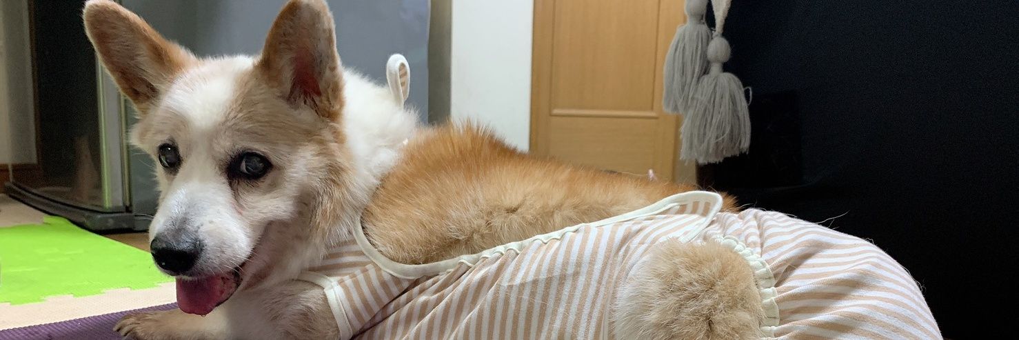 sinyu_405's profile banner image