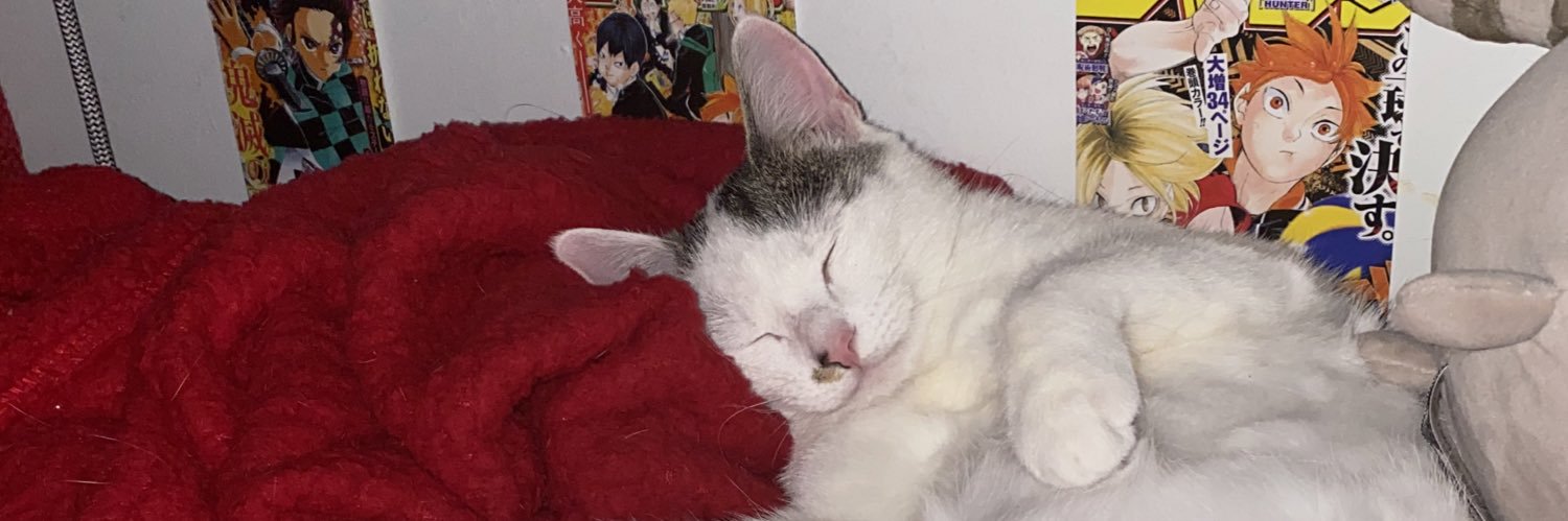 RIP Kurt Cobain banner