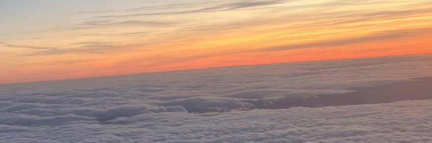 Michelle Dermody banner