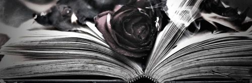 StillLena's profile banner image