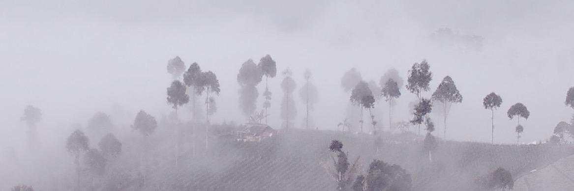 TypeSultan's profile banner image
