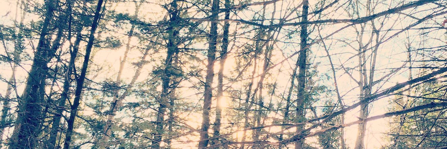 Kasia_0's profile banner image