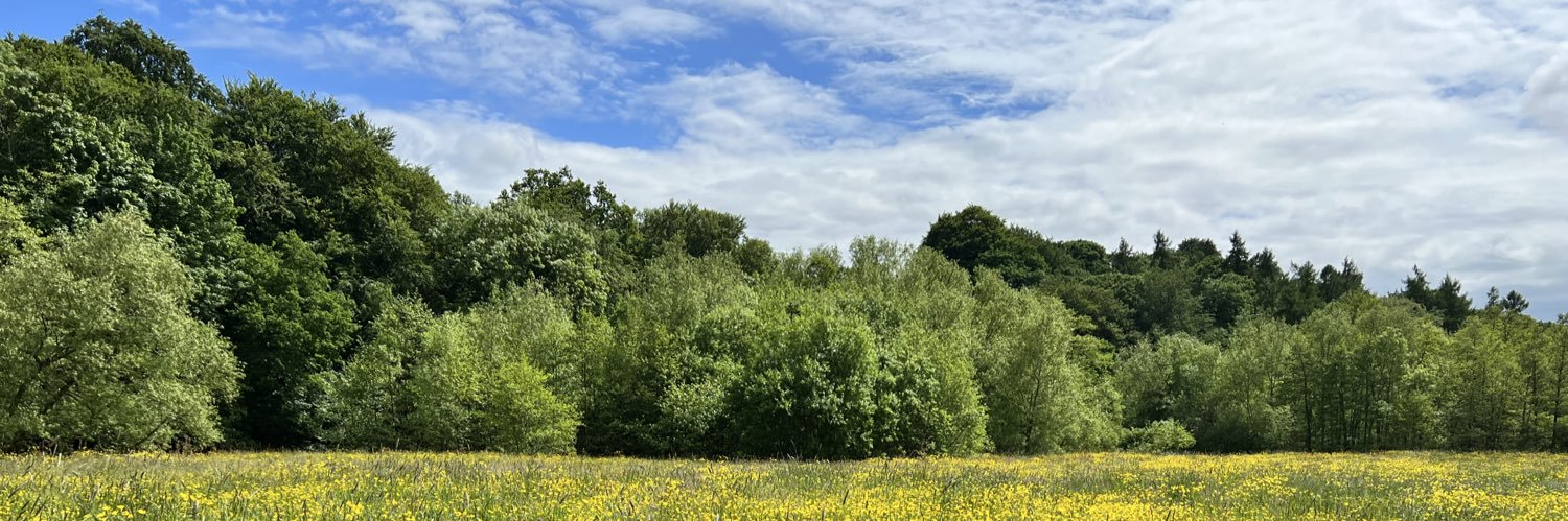 alys is on bsky now banner