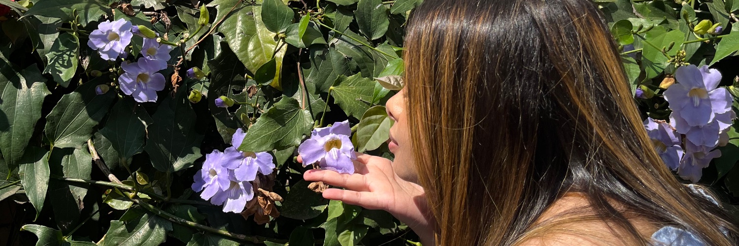 SarahAlcantara's profile banner image