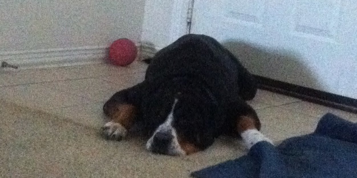 Dewey Decimal banner