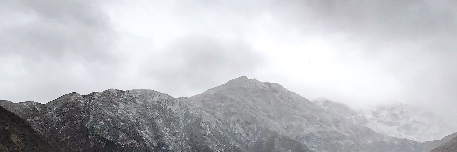 Rosa Rous banner