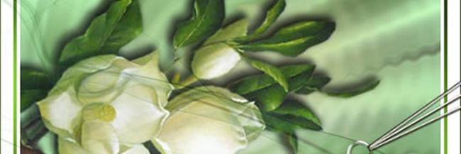 teresatango's profile banner image