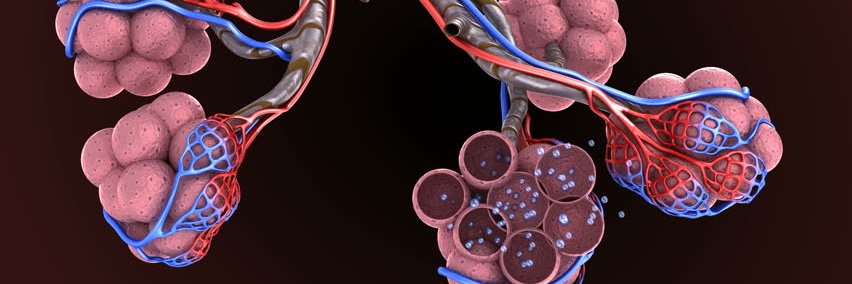 TonelliRoberto's profile banner image